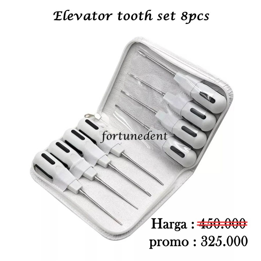 Bein root bein set bein elevator instrument set