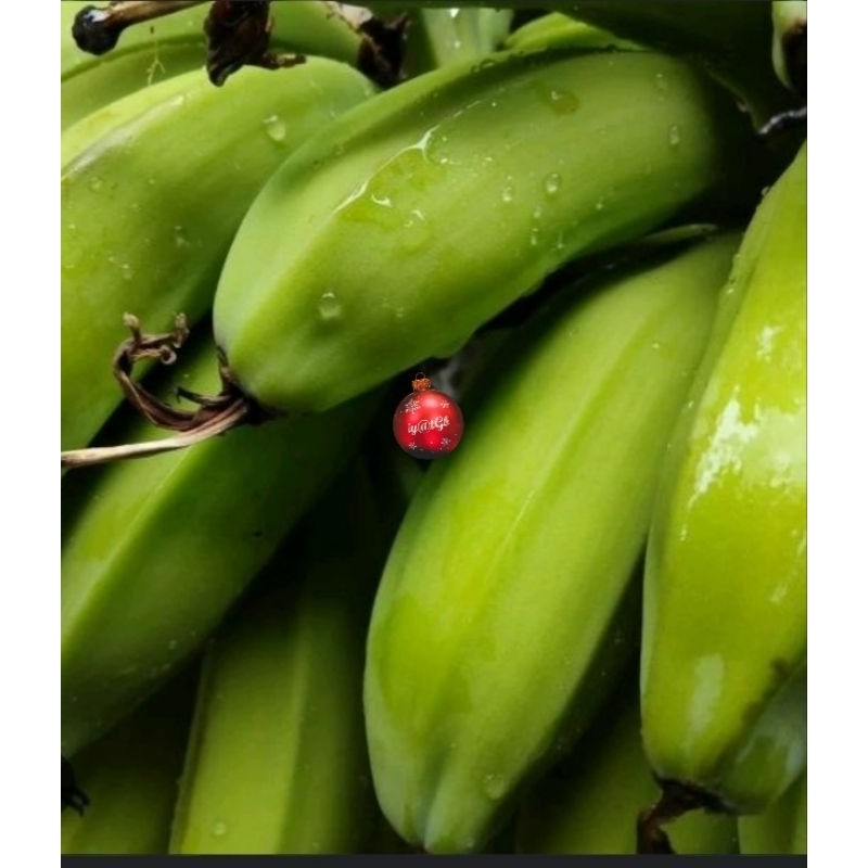 

pisang batu muda buat rujak | pisang batu / pisang kulutuk | pisang batu muda per 1 sisir