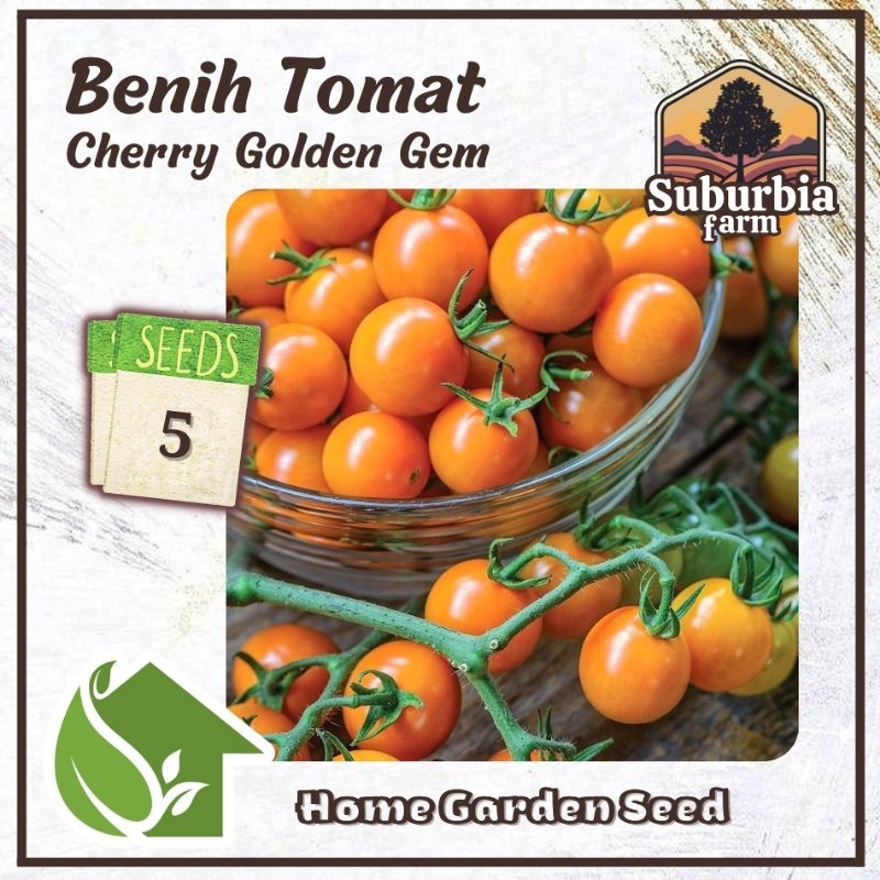 5 Biji Benih Tomat Mini Golden Gem F1 Bibit Tomat Cherry Known You Seed