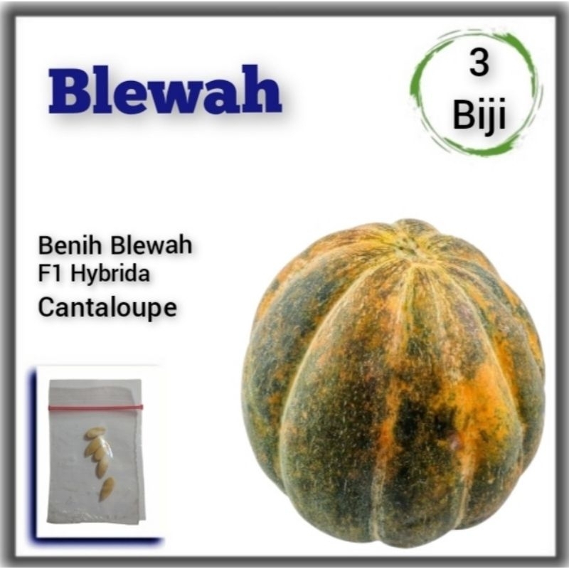 Benih Buah Blewah F1 Hibrida
