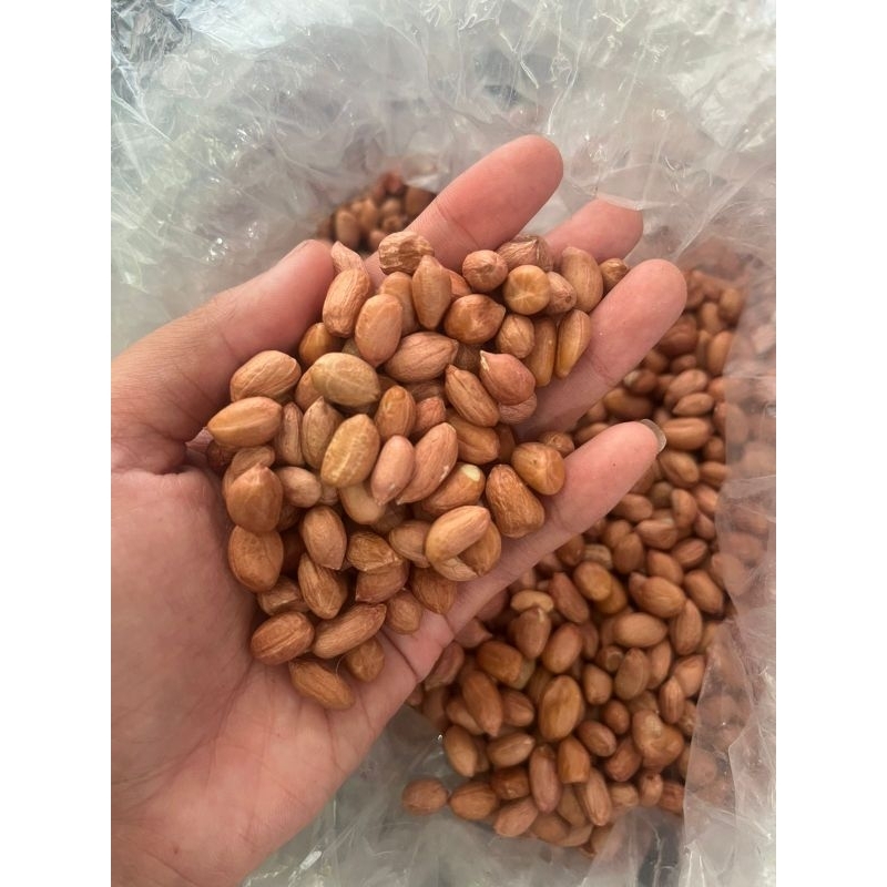 

Terlaris~Kacang Tanah mentah/Kacang tanah India/kacang tanah super fresh 1kg murah #kacangtanah