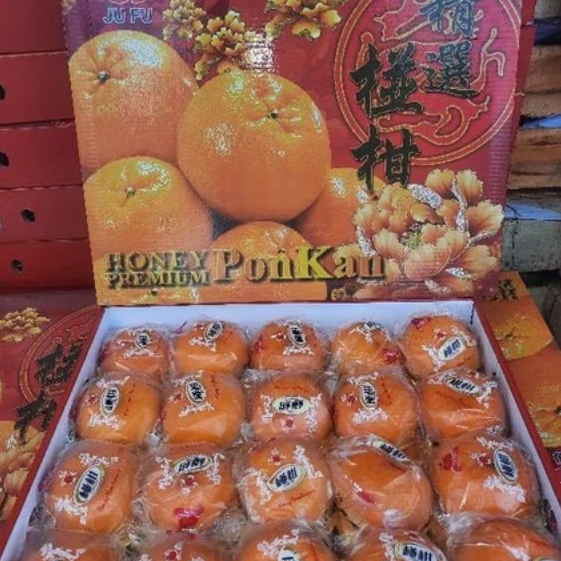 

Buah Jeruk PONKAM HDL size 20 1 Dus