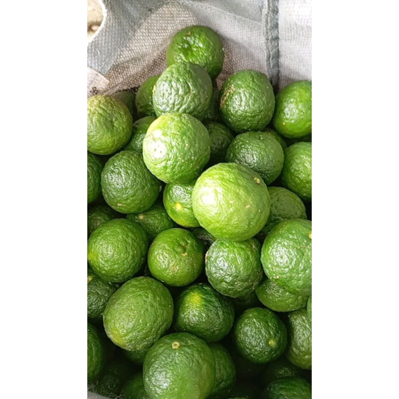

jeruk limau/limo ukuran sedang dan besar untuk sate/Lamongan 1kg harga khusus 1 Minggu ini