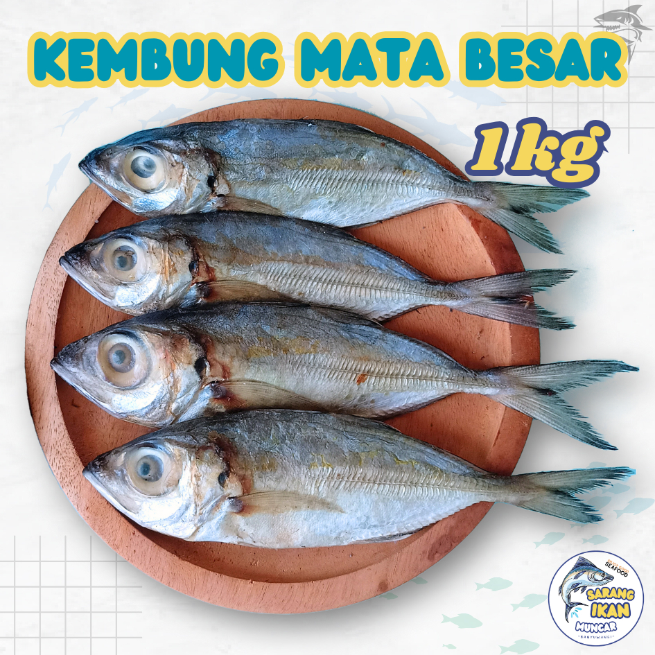 

IKAN KEMBUNG MATA BESAR ASIN PREMIUM TERMURAH KEMASAN 1 KG