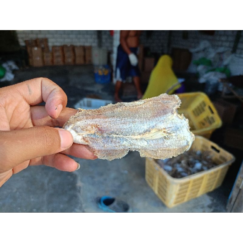 

ikan bloso tawar