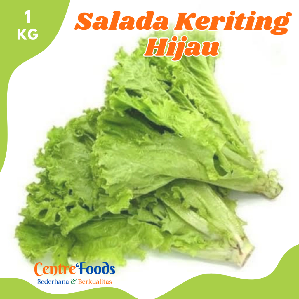 

SALADA KERITING Hijau - Selada Lollo Verde Fresh | 1.000gr [ Harga Per KG ]