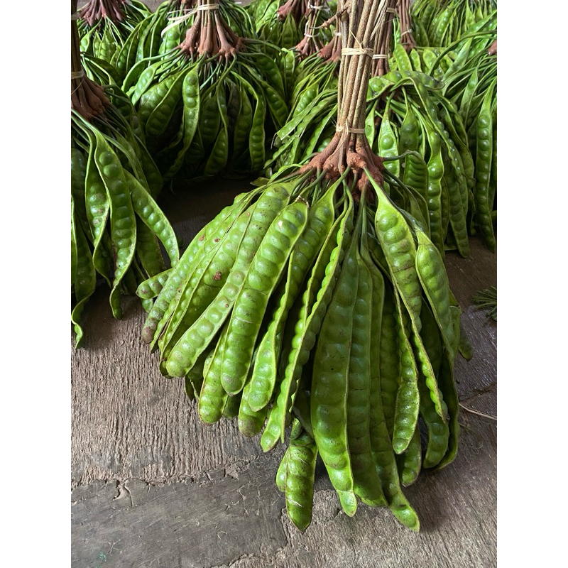 

PETE SUPER ISI 12 PAPAN PETE TUA