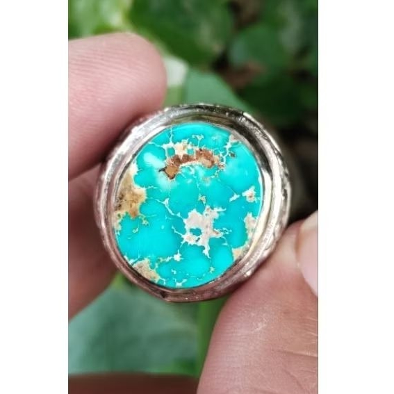 pirus persia original