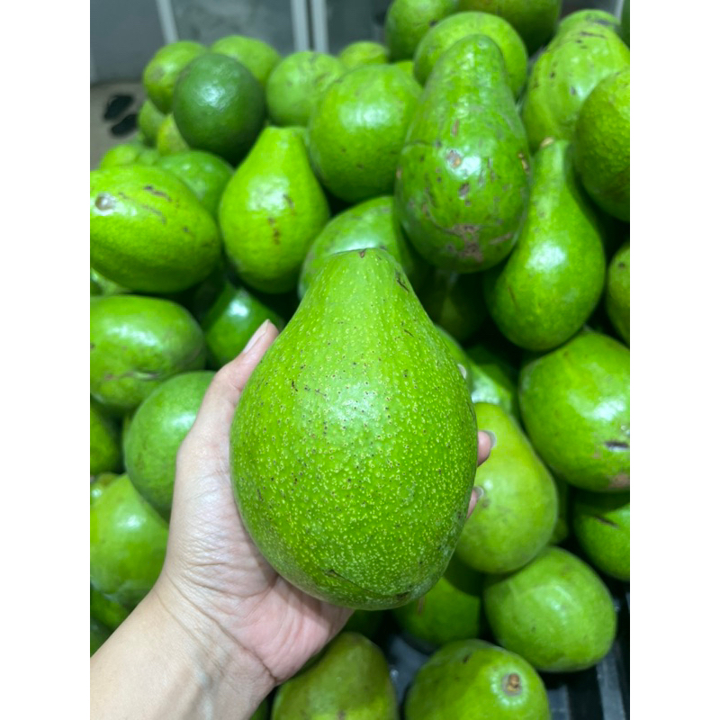 

ALPUKAT MENTEGA SUPER