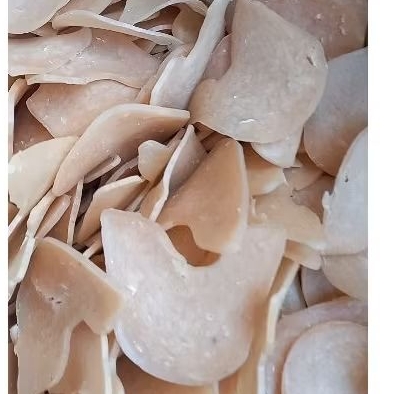 

Promo kerupuk udang mede/sabit mentah 1kg harga pabrik. Free kardus + bubble wrap agar isi paket tetap utuh sampai tujuan