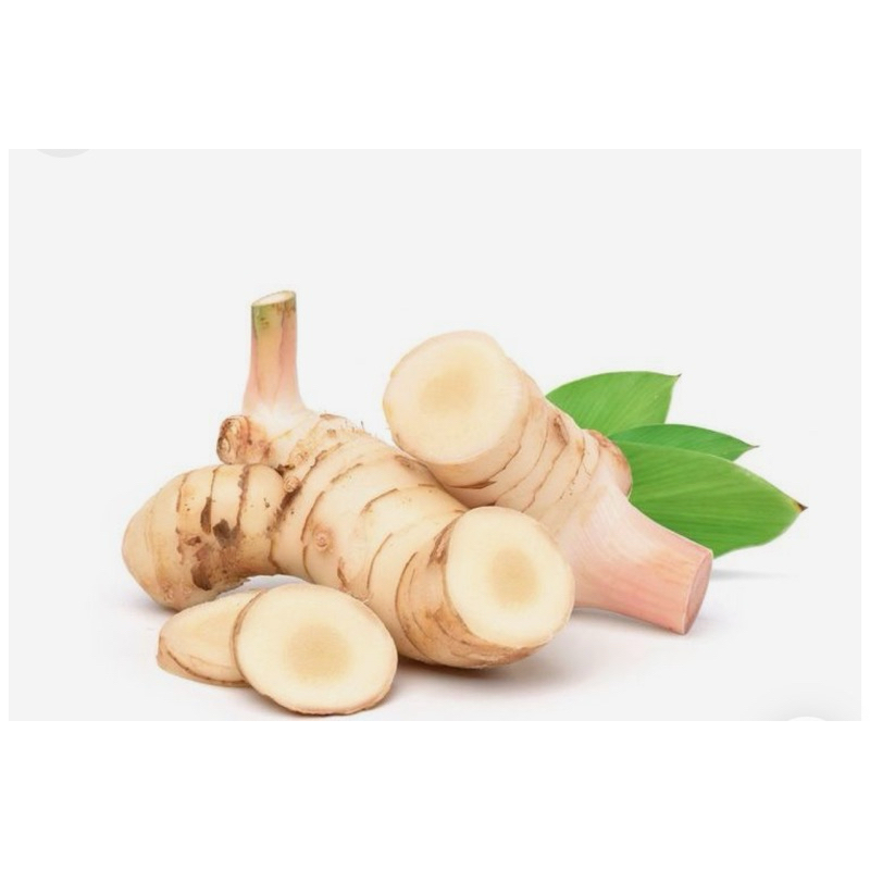 

LENGKUAS laos bumbu dapur 250 gram
