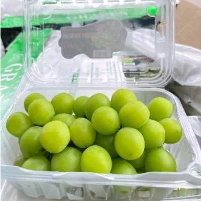 

anggur shine muscat / anggur hijau shine muscat per pack