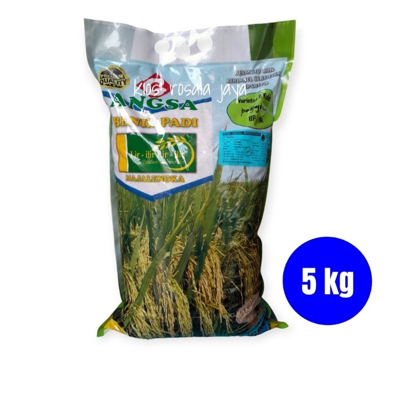 Benih Padi super genjah Padjajaran 5 kg