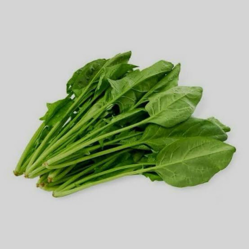 

Bayem Jepang / Horenzo / poling fresh