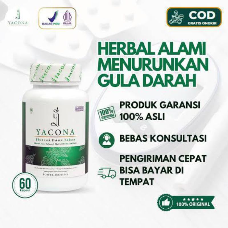 Yacona Obat Diabetes Ampuh Mengatasi Diabetes Dan Menurunkan Gula Darah Tinggi