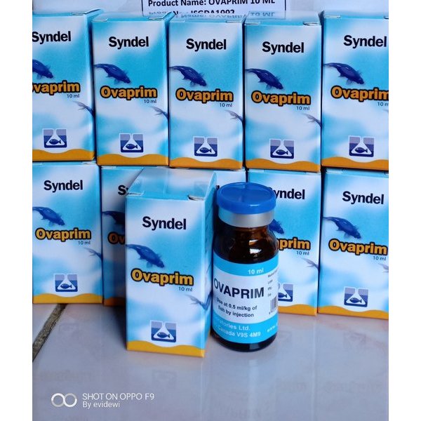Ovaprim syndel 1ml ECER Breeding Ikan Penambahan Hormon Ovaspec ORIGINAL