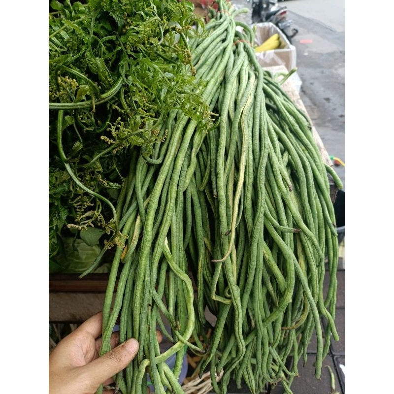 

INSTAN sayur pakis paku kacang panjang daun ubi daun singkong