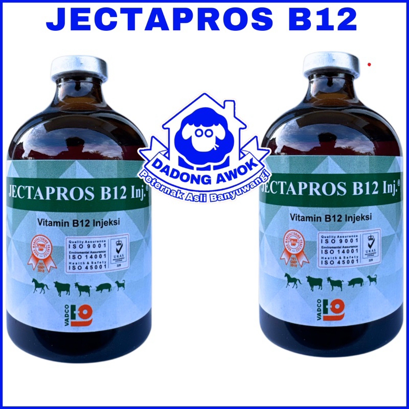 Vitamin B12 Hewan - JECTAPROS B12 100ML Vitamin B12 Injeksi Hewan Ternak Sapi Kambing Domba vadco