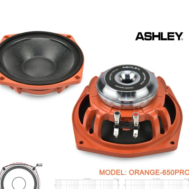 Speaker komponen ashley orange 650pro original 6 inch orange 650 pro