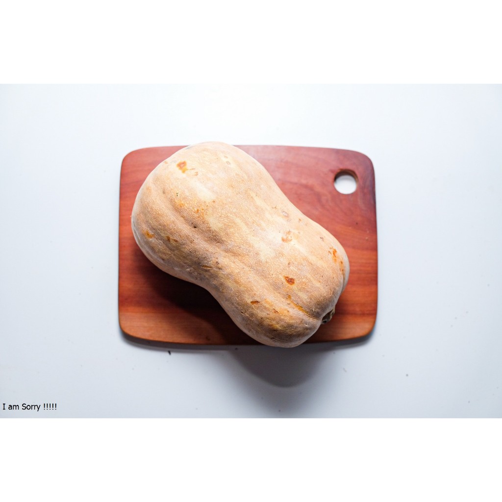 

Butternut squash pumpkin per buah