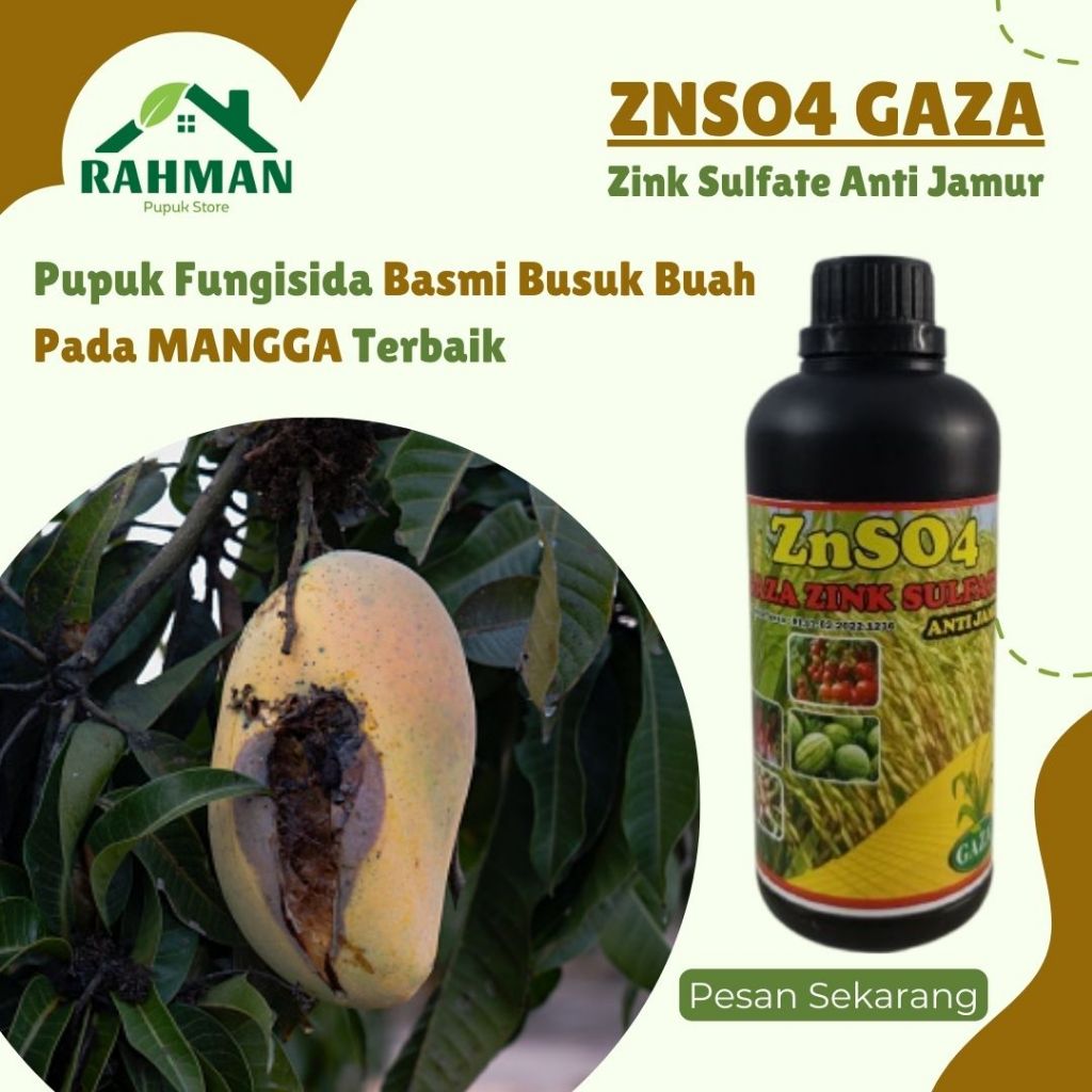 Pupuk fungisida basmi busuk buah mangga terbaik - ZNSO GAZA 500ML - Obat semprot organik anti rontok
