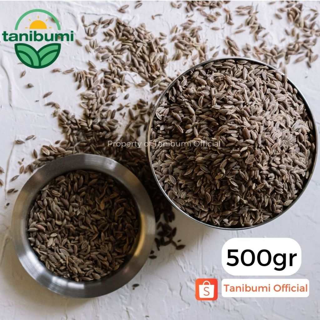 

500g | Biji Adas Pedas | Dill Seeds | Adas Jamu | Jintan Pedas Premium