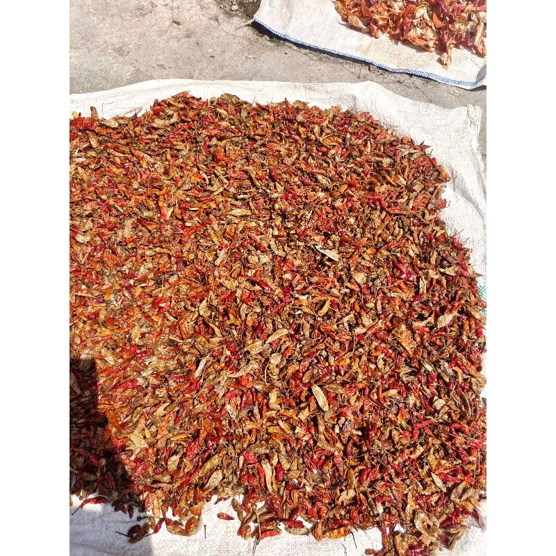 

CABE MERAH KERING 1KG MURAH