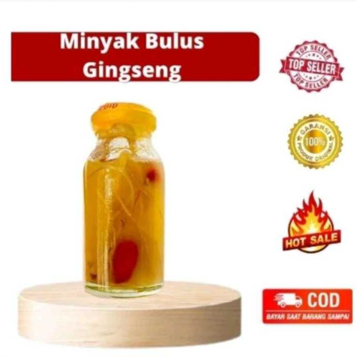 Minyak Bulus Ginseng Merah Original 100%