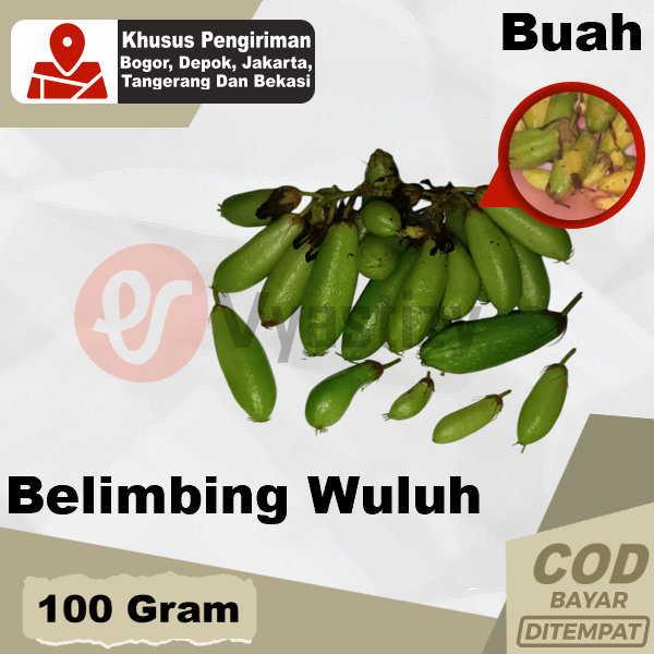 

Belimbing Wuluh Segar 100 gr Petik Dadakan Saat ada Pesanan fresh Bahan Sambal Tongseng Pecak Ikan Obat Herbal Batuk Sariawan Pelengkap Tahu Gejrot