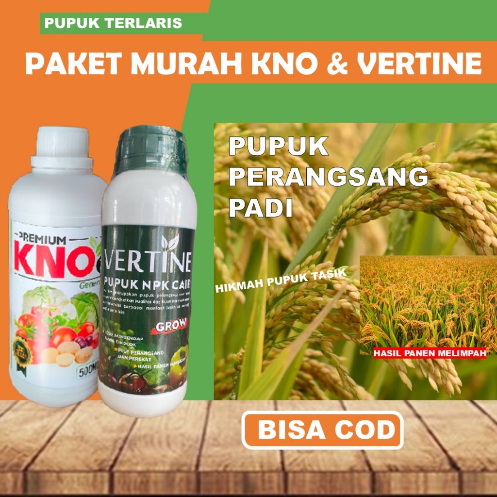TERLARIS PUPUK PERBANYAK PADI BUNTING KNO & VERTINE PALING BAGUS OBAT CAIR TANAMAN PADI AGAR BERBOBO