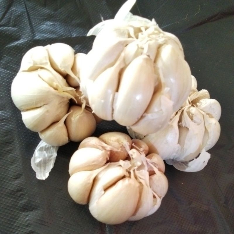 

Bawang putih Gress [ 500g ]