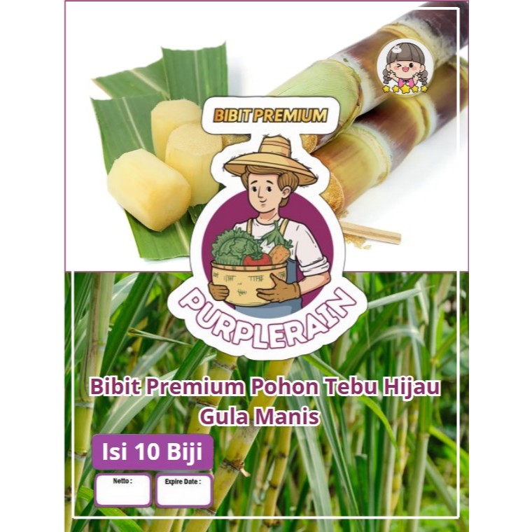 Bibit Premium Tebu Hijau Manis |Biji Bibit Pohon Tebu Hijau Manis | Biji Benih Tebu Hijau Manis