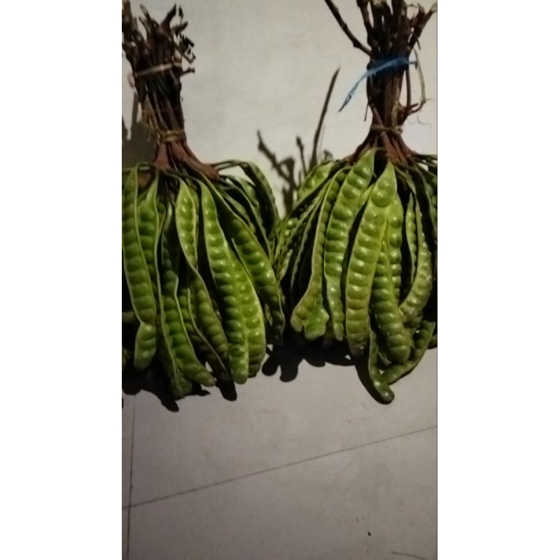 

pete bahan lalapan