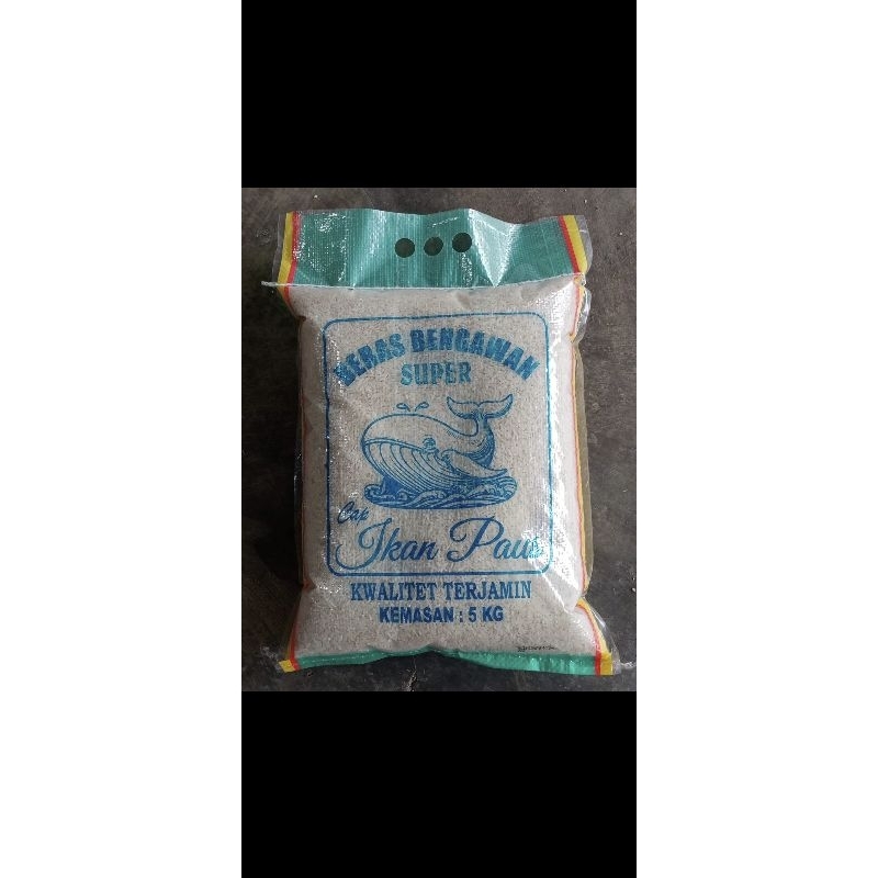 

Paus Teean Super Kwalitet Terjamin 5 kg
