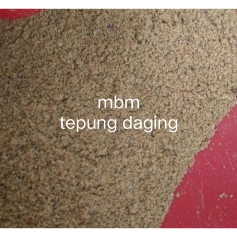 tepung daging, mbm, pakan ternak