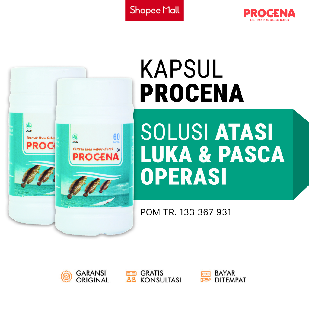 Procena Obat Luka Bakar Alami Diabetes Pasca Operasi Kapsul Ikan Gabus Albumin Procena - 2 botol