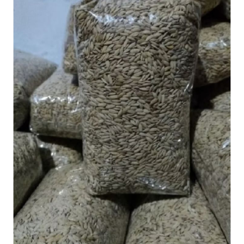 

jual bibit padi beras merah 1 kg