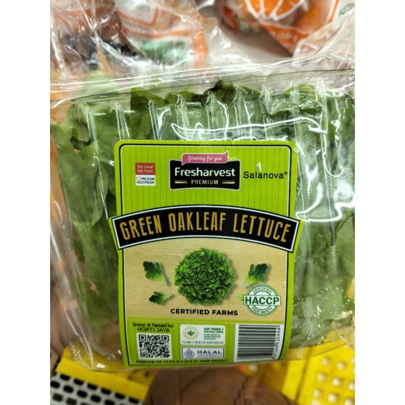 

Green oakleaf lettuce/pack