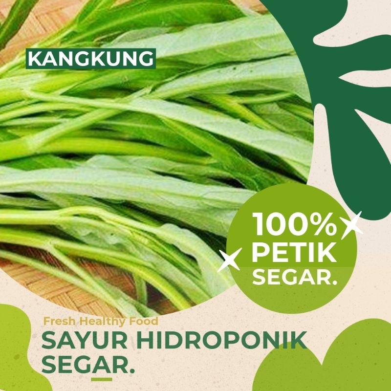 

Kangkung Sayur Hidroponik Segar