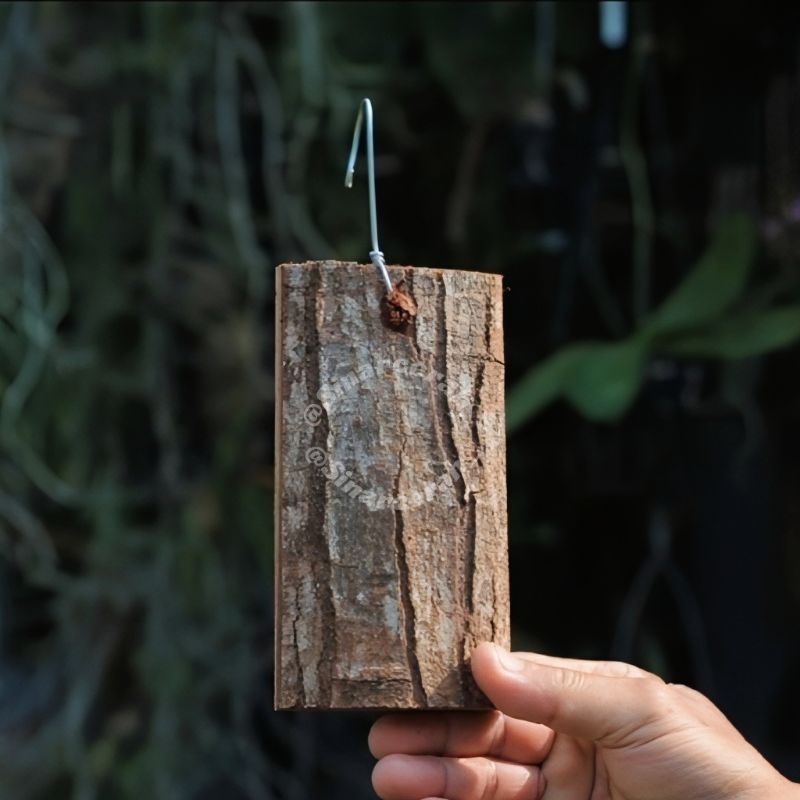 2 pcs MMEDIA TANAM ANGGREK KULIT KAYU MAHONI/PAPAN MEDIA TEMPEL ANGGREK+KAWAT GANTUNG