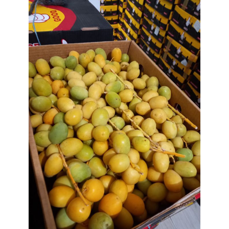 

Kurma muda Segaar / Fresh Bukan FRozen 2kg