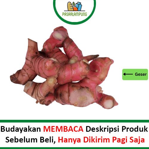 

Lengkuas / Laos 250 Gram Pasar Lampung