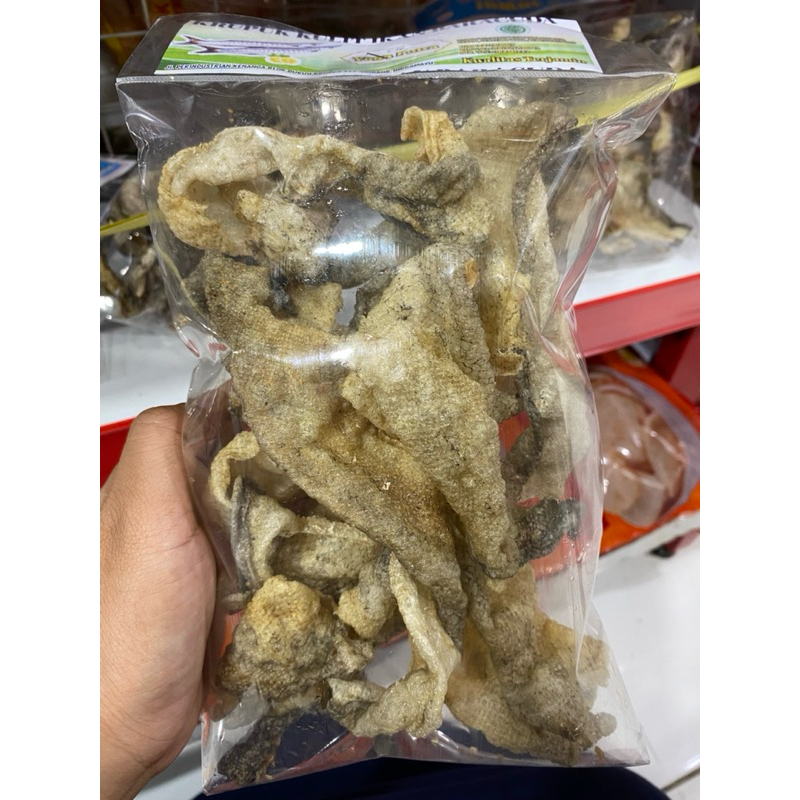 

Kulit ikan baracuda ( lebih tipis dan garing )