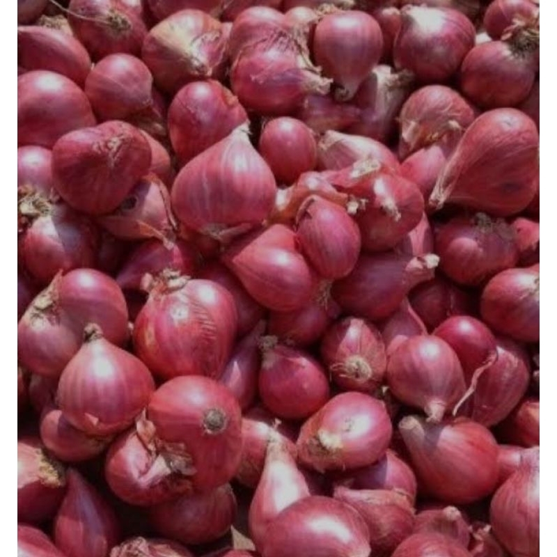 

Bawang merah ukuran sedang