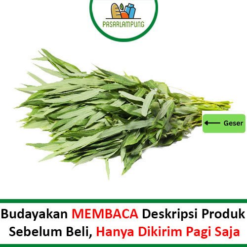 

Daun Singkong Ubi Segar Per Ikat Pasar Lampung