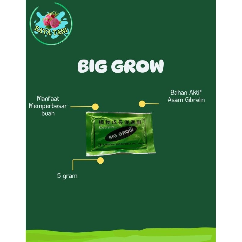 BIG GROW 5 gram ZPT