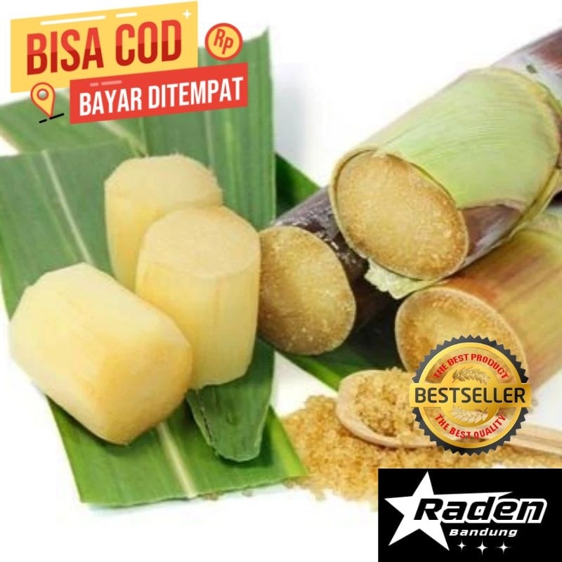 

Jual batang tebu merah fres rasa manis segar sudah kupas