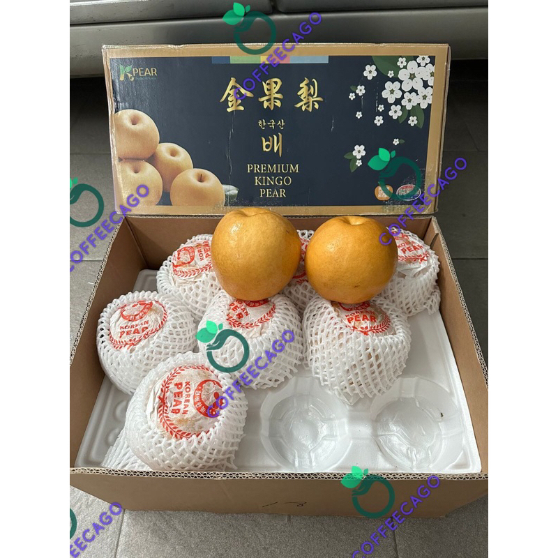 

Buah Pear Pir Singo Korea Premium 1 Dus (15 KG) Fresh Import