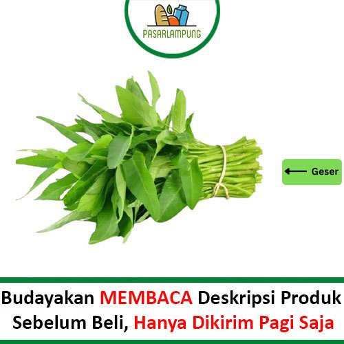

Kangkung Hijau Sayur Segar Per Ikat Pasar Lampung