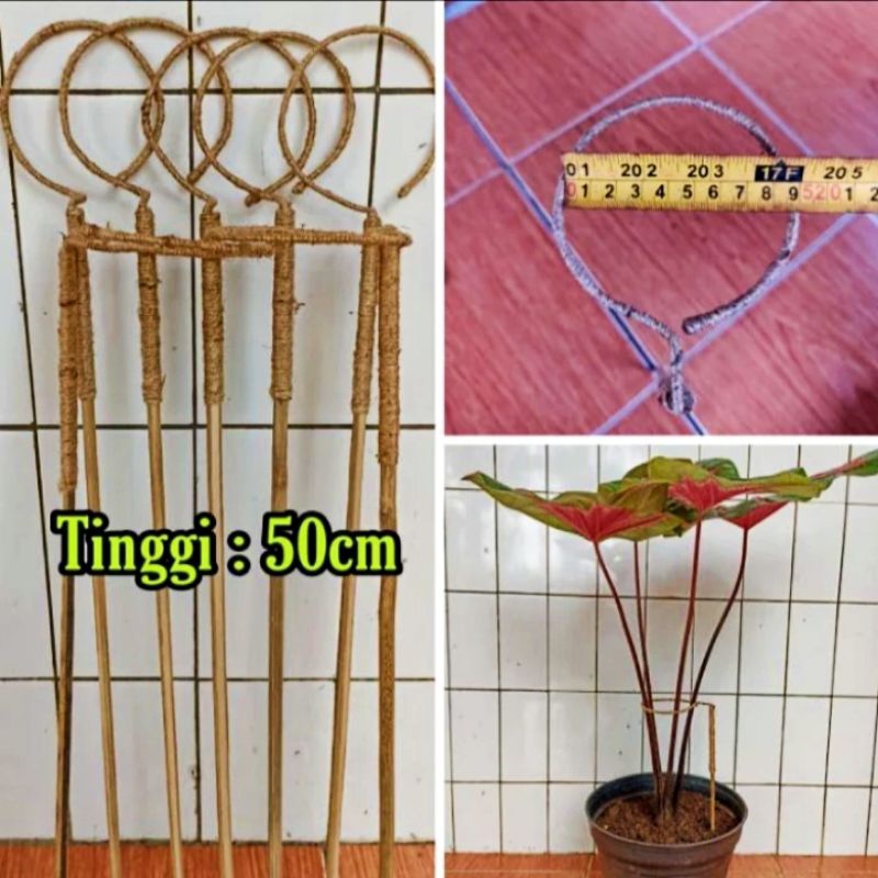 Turus keladi penyangga tanaman